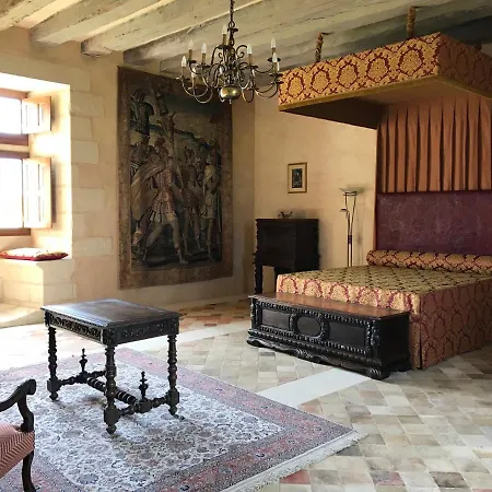 Chateau Manoir De Chandoiseau Les-Trois-Moutiers