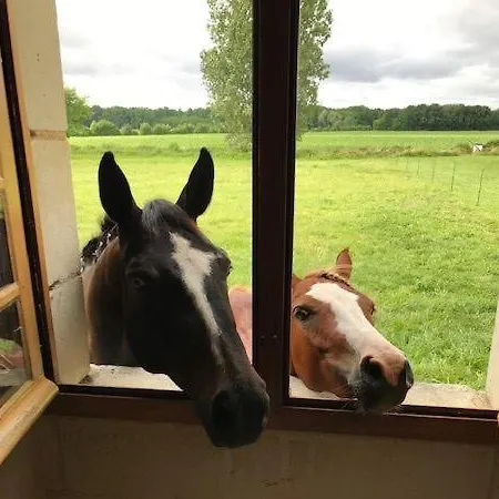 Chateau Manoir De Chandoiseau 4*