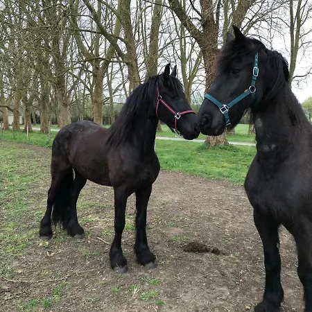 Chateau Manoir De Chandoiseau Bed and breakfast