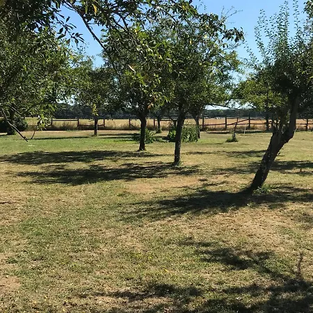 Chateau Manoir De Chandoiseau 4* Les-Trois-Moutiers