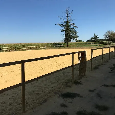 Chateau Manoir De Chandoiseau Bed and breakfast