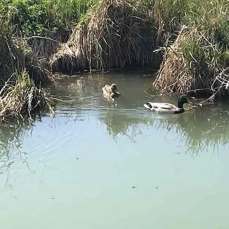 Chateau Manoir De Chandoiseau Les-Trois-Moutiers