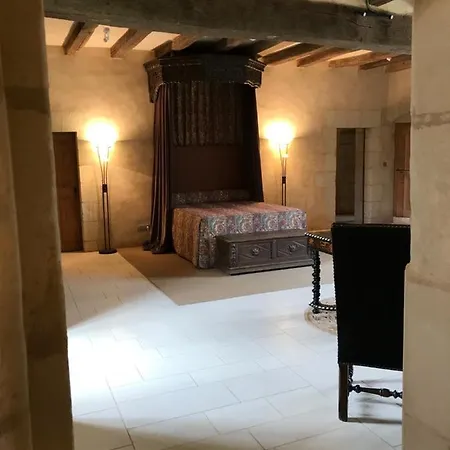 Chateau Manoir De Chandoiseau Bed & Breakfast