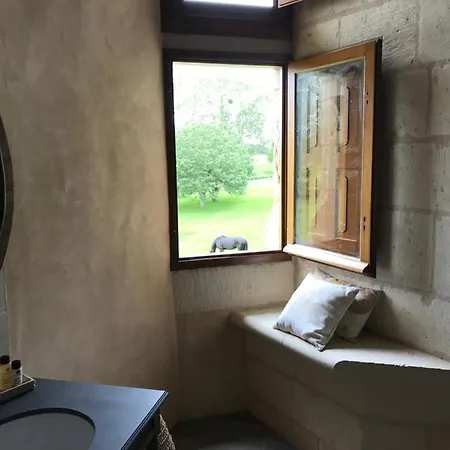 ベッド・アンド・ブレックファスト Chateau Manoir De Chandoiseau